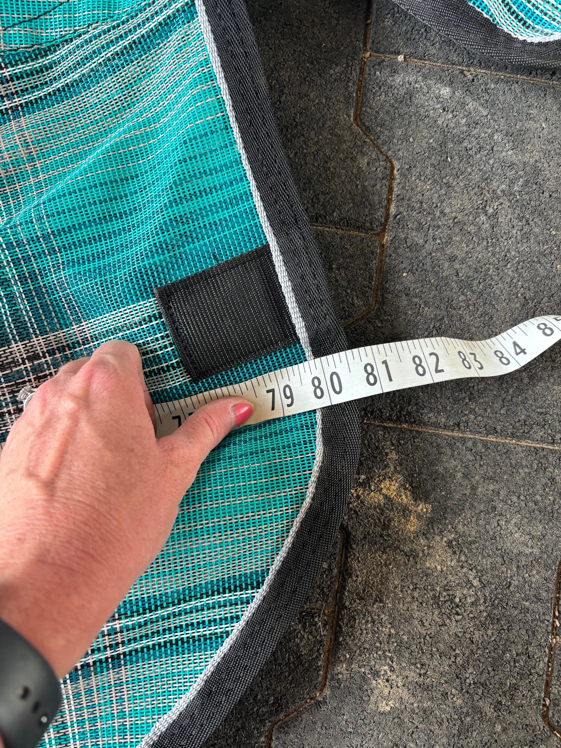 Horse Blanket Size Chart: 8 Must-Know Tips for a Perfect Fit in 2026