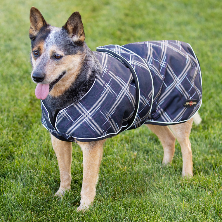 The Essential Benefits of a Waterproof &amp; Breathable Dog Coat with Chest Wrap: Keeping Your Dog Warm and Dry All Season Long