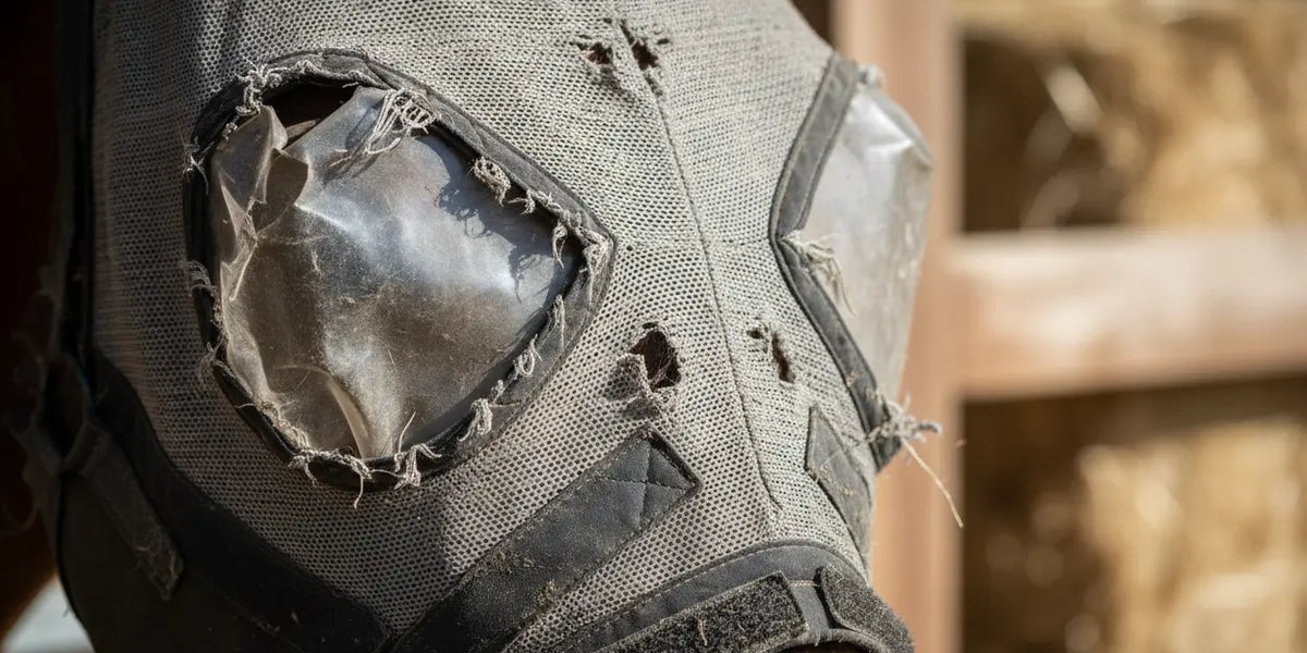 How long should a fly mask last? Expert guide to durability and care ...