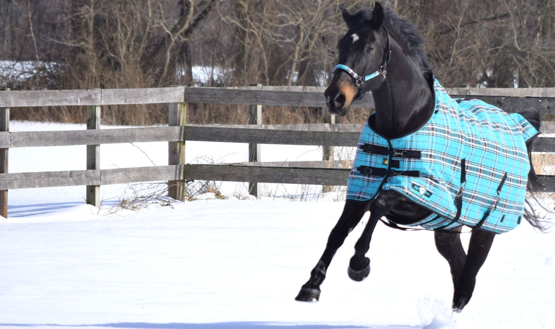 The Biggest Mistakes People Make in Winter with Their Horses – And How to Keep Them Safe