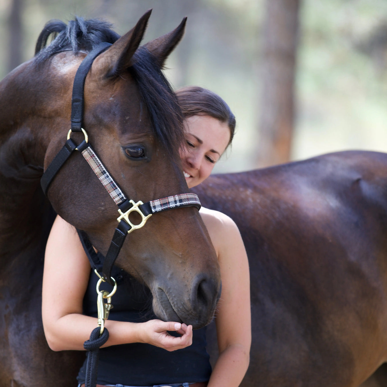 Halters & Leads