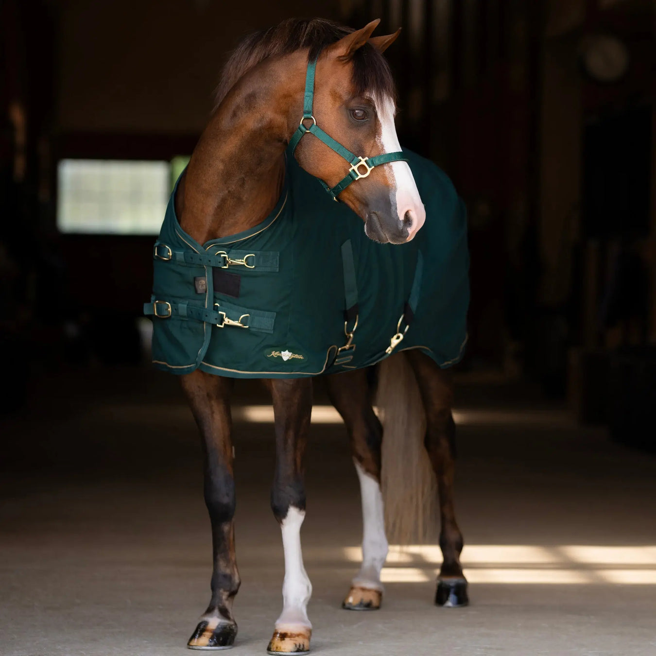 Kensington Cotton Stable Day Sheet