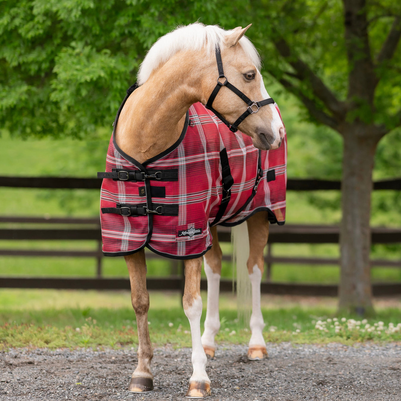 Kensington Protective Horse Fly Sheet - 165 Red Merlot