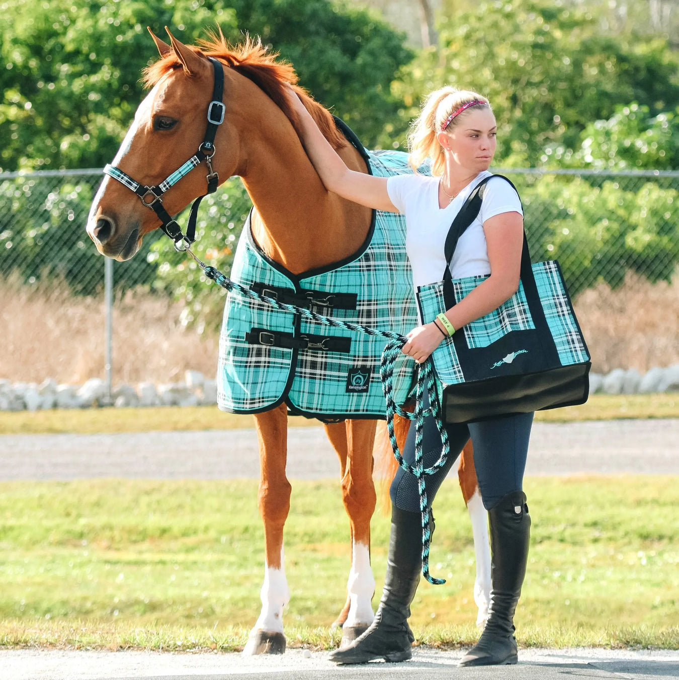 Horse Fly Protection Kensington