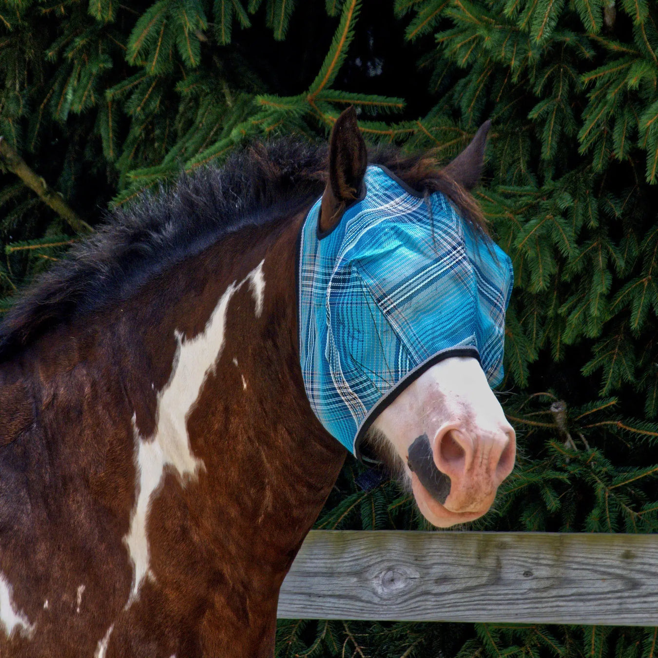 All Draft Horse Pony Mini UV Fly Mask Kensington