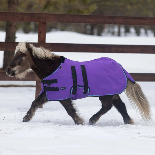 Mini 300G Heavy Weight Horse Winter Turnout Blanket - Waterproof & Breathable Kensington Protective Products