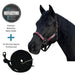 Bundle: Reflective Breakaway Nylon Halter & 10' Clinician Lead Kensington Protective Products