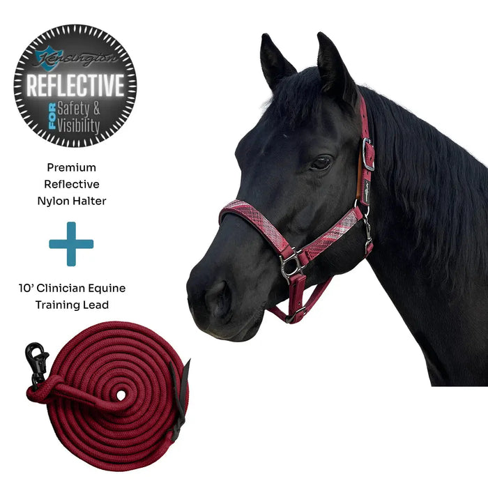 Bundle: Reflective Breakaway Nylon Halter & 10' Clinician Lead Kensington Protective Products