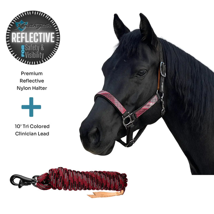 Bundle: Reflective Breakaway Nylon Halter & 10' Clinician Lead Kensington Protective Products
