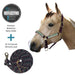 Bundle: Reflective Breakaway Nylon Halter & 10' Clinician Lead Kensington Protective Products