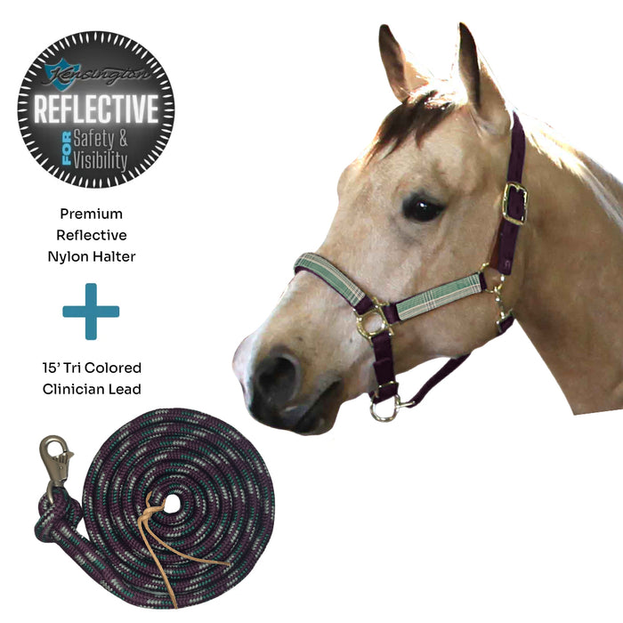 Bundle: Reflective Breakaway Nylon Halter & 15' Clinician Lead