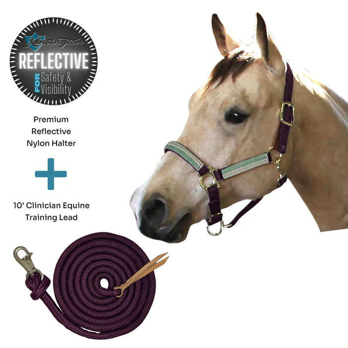 Bundle: Reflective Breakaway Nylon Halter & 10' Clinician Lead Kensington Protective Products