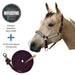 Bundle: Reflective Breakaway Nylon Halter & 10' Clinician Lead Kensington Protective Products