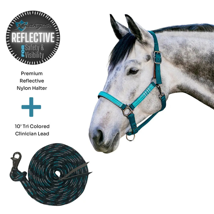 Bundle: Reflective Breakaway Nylon Halter & 10' Clinician Lead Kensington Protective Products