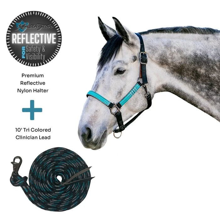 Bundle: Reflective Breakaway Nylon Halter & 10' Clinician Lead Kensington Protective Products