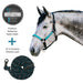 Bundle: Reflective Breakaway Nylon Halter & 10' Clinician Lead Kensington Protective Products