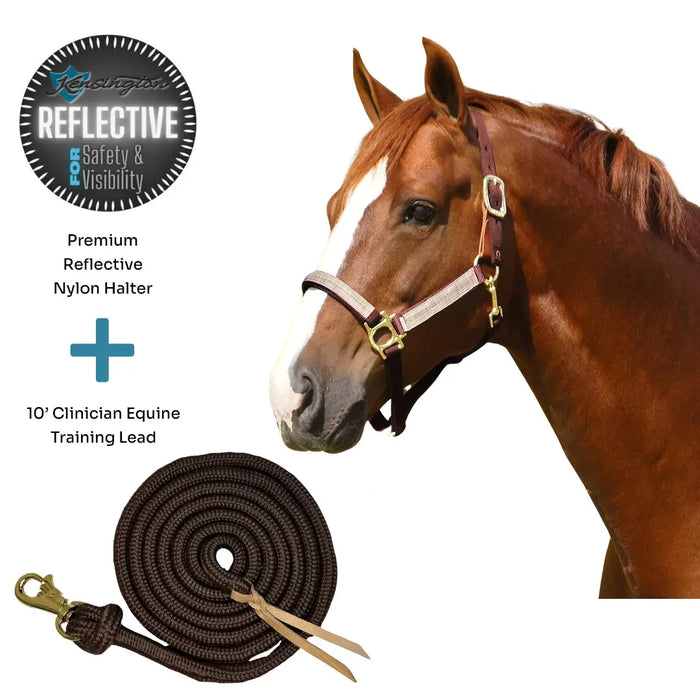 Bundle: Reflective Breakaway Nylon Halter & 10' Clinician Lead Kensington Protective Products