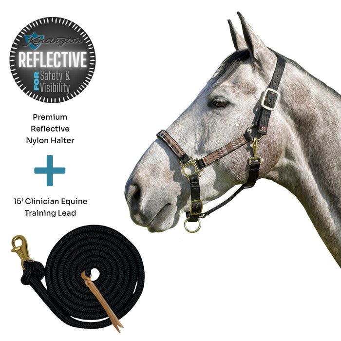 Bundle: Reflective Nylon Halter & 15' Clinician Lead
