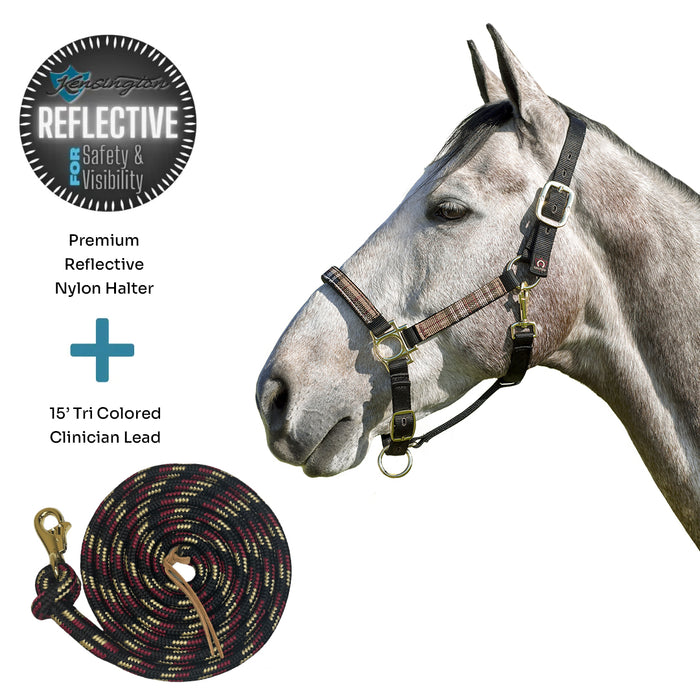 Bundle: Reflective Nylon Halter & 15' Clinician Lead