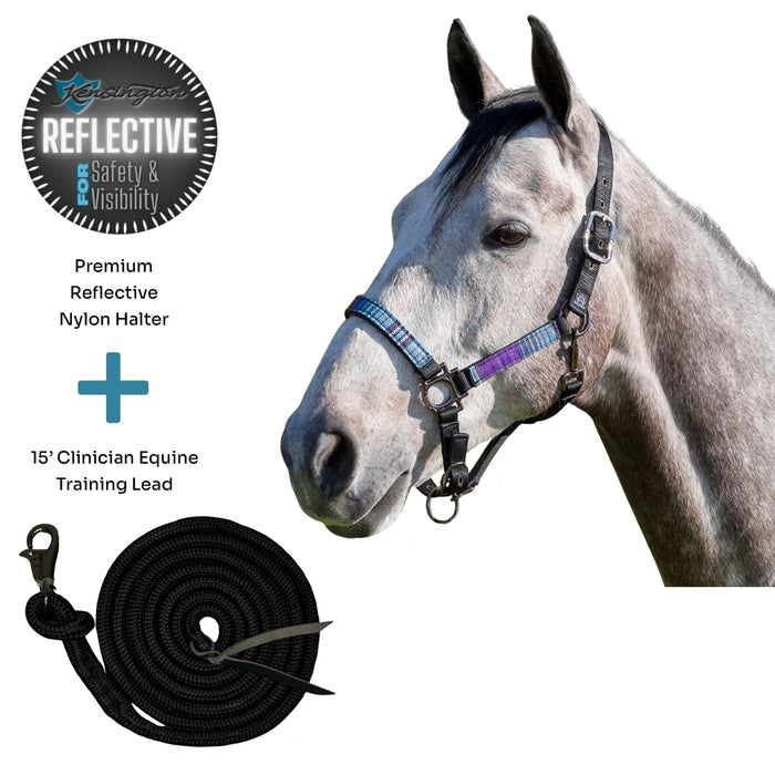 Bundle: Reflective Nylon Halter & 15' Clinician Lead