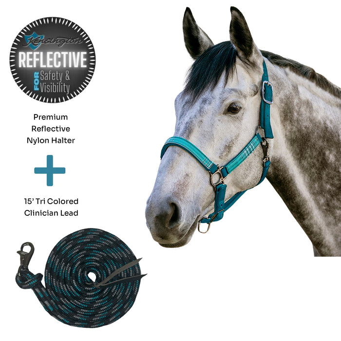 Bundle: Reflective Nylon Halter & 15' Clinician Lead