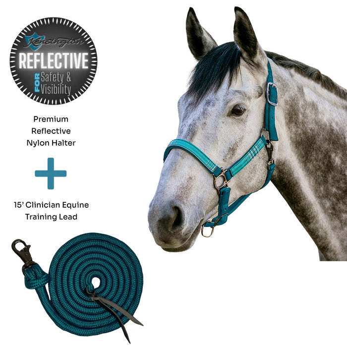 Bundle: Reflective Nylon Halter & 15' Clinician Lead