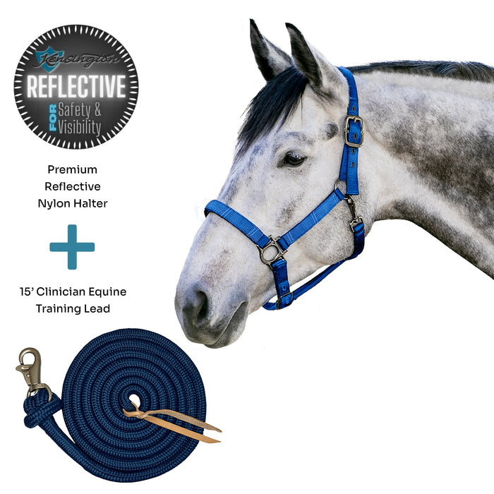 Bundle: Reflective Nylon Halter & 15' Clinician Lead