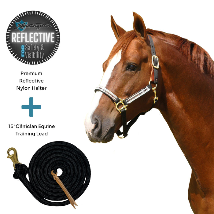 Bundle: Reflective Breakaway Nylon Halter & 15' Clinician Lead