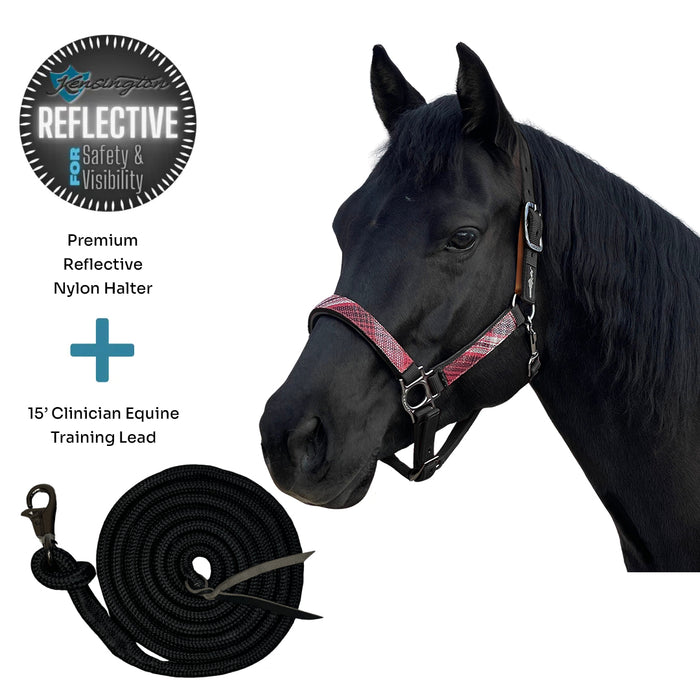 Bundle: Reflective Breakaway Nylon Halter & 15' Clinician Lead