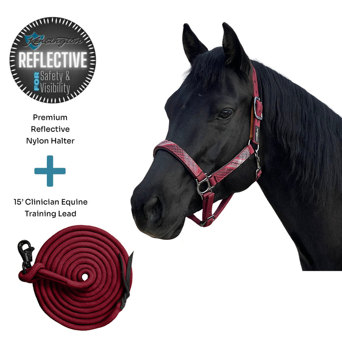 Bundle: Reflective Breakaway Nylon Halter & 15' Clinician Lead