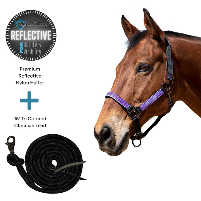 Bundle: Reflective Breakaway Nylon Halter & 15' Clinician Lead