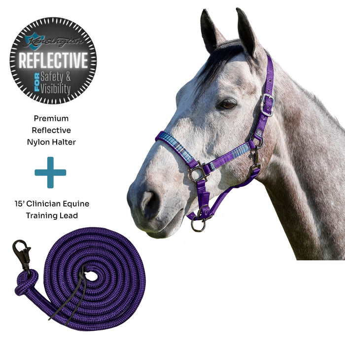 Bundle: Reflective Breakaway Nylon Halter & 15' Clinician Lead