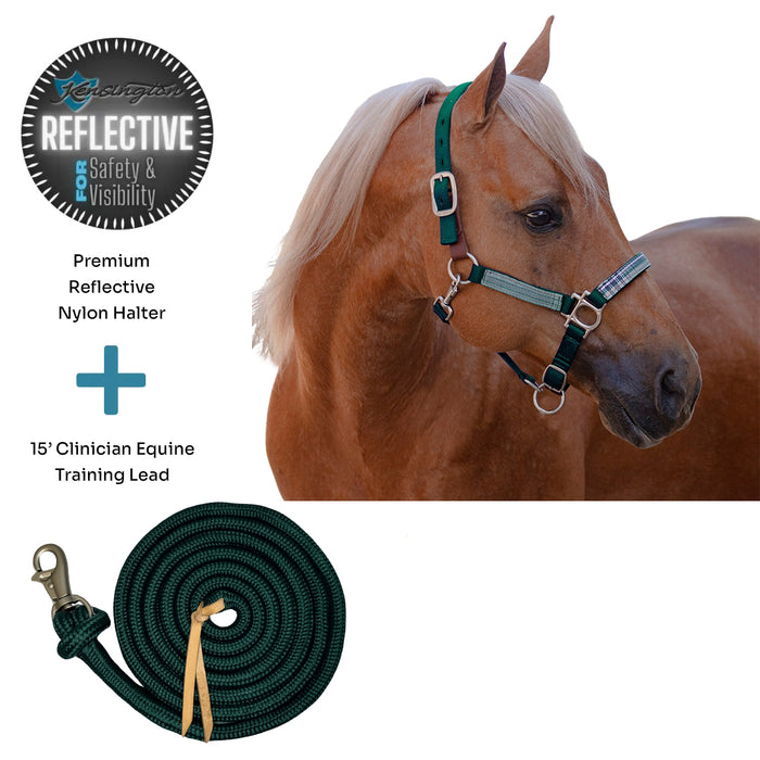 Bundle: Reflective Breakaway Nylon Halter & 15' Clinician Lead