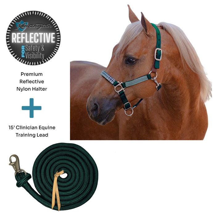 Bundle: Reflective Breakaway Nylon Halter & 15' Clinician Lead