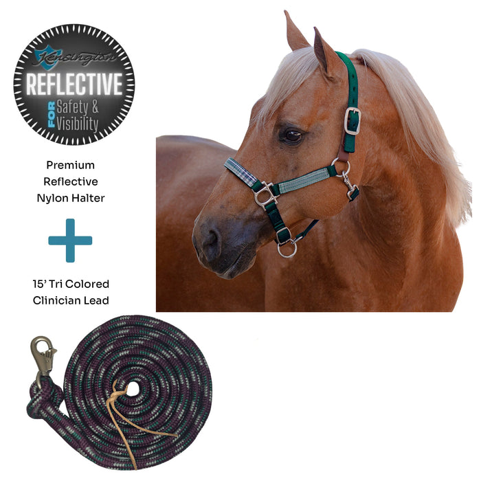 Bundle: Reflective Breakaway Nylon Halter & 15' Clinician Lead