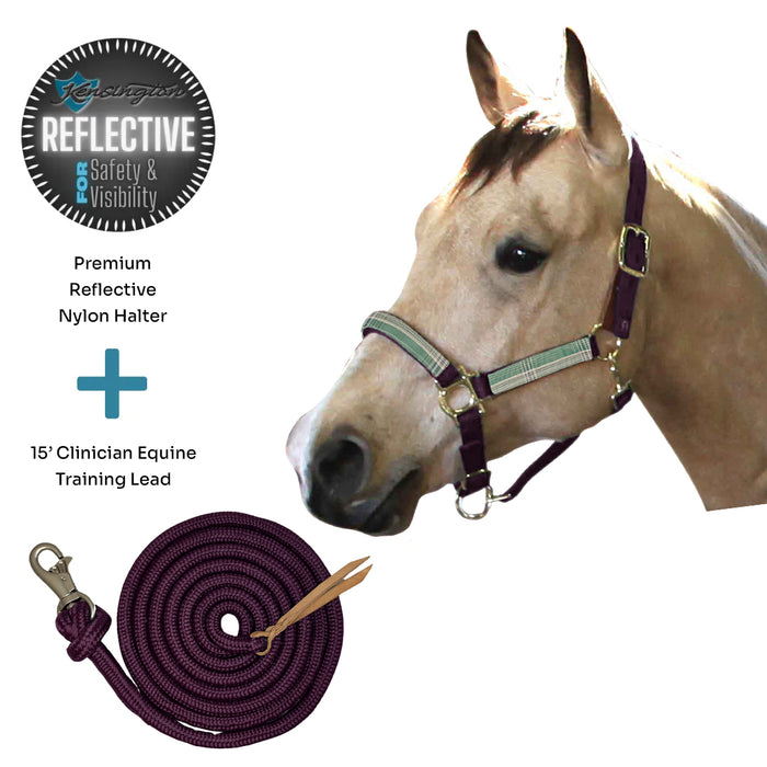 Bundle: Reflective Breakaway Nylon Halter & 15' Clinician Lead
