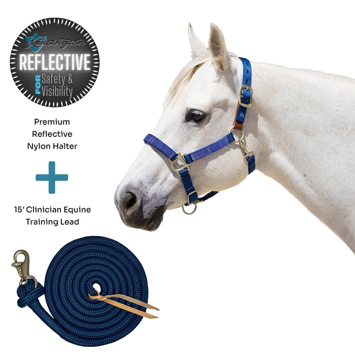 Bundle: Reflective Breakaway Nylon Halter & 15' Clinician Lead