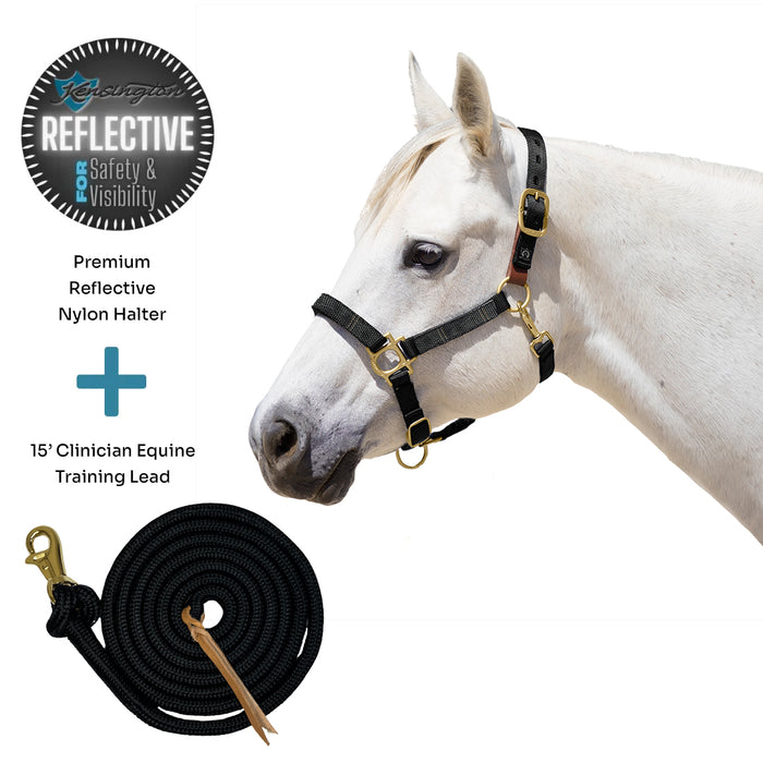 Bundle: Reflective Breakaway Nylon Halter & 15' Clinician Lead