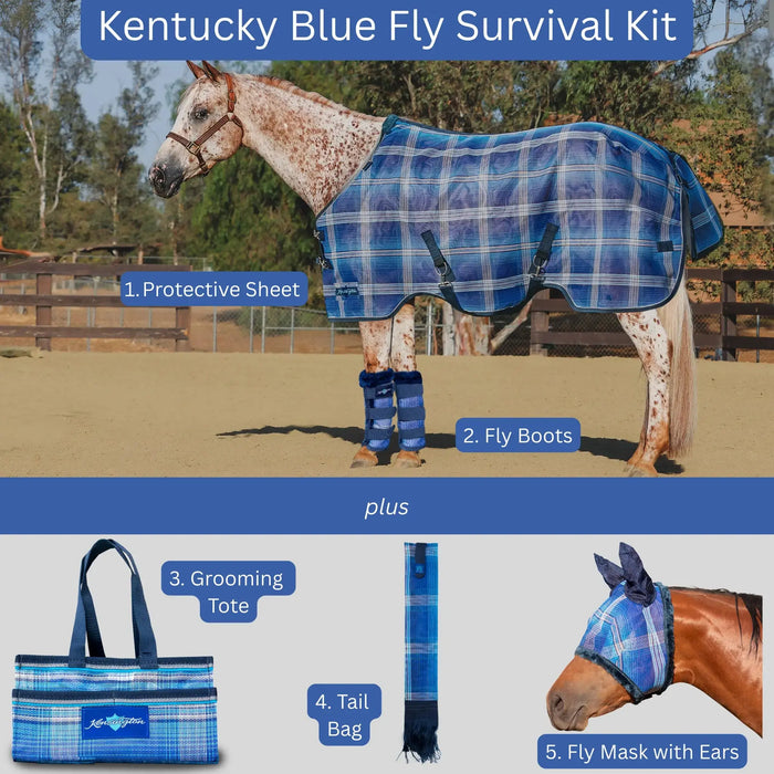 Corro Exclusive Fly Survival Kit 3 Kensington
