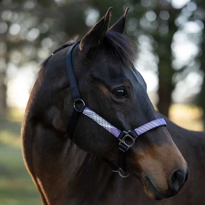Reflective Breakaway Nylon Halter with Textliene Kensington Protective Products