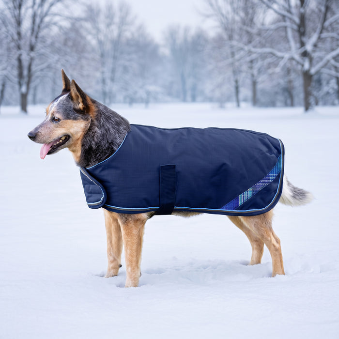 New Winter Dog Coat - 180G Medium Weight - Waterproof & Breathable — Color Code and Name — main image — 2SCR-L-B