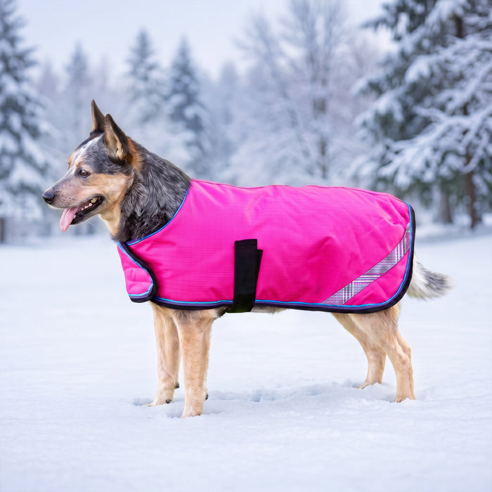 New Winter Dog Coat - 180G Medium Weight - Waterproof & Breathable — EB-Electric Berry — main image — 2SCR-L-EB