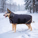New Winter Dog Coat - 180G Medium Weight - Waterproof & Breathable — F-Black — main image — 2SCR-L-F
