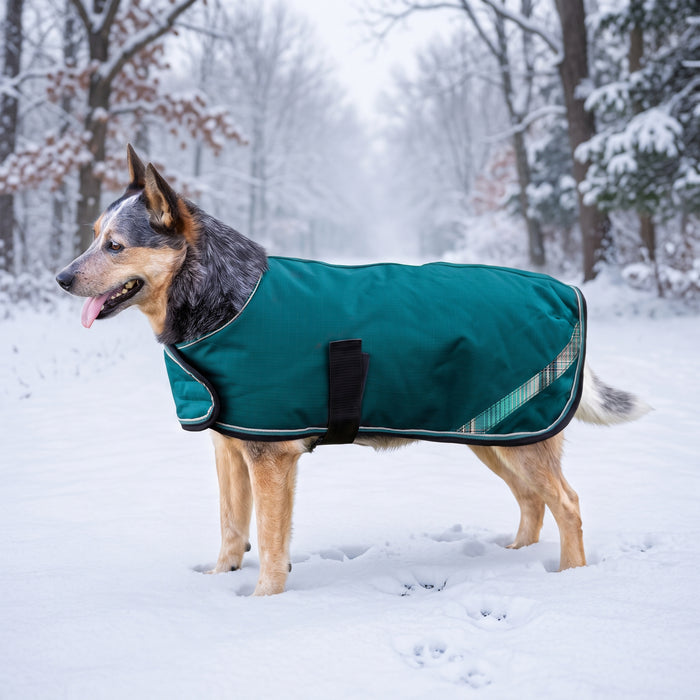 New Winter Dog Coat - 180G Medium Weight - Waterproof & Breathable — H-Harbor — main image — 2SCR-L-H