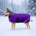 New Winter Dog Coat - 180G Medium Weight - Waterproof & Breathable — P-Purple — main image — 2SCR-L-P