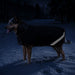New Winter Dog Coat - 180G Medium Weight - Waterproof & Breathable — Color Code and Name — feature overview — 2SCR-L-B