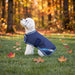 New Winter Dog Coat - 180G Medium Weight - Waterproof & Breathable — B-Navy — main image — 2SCR-MD-B