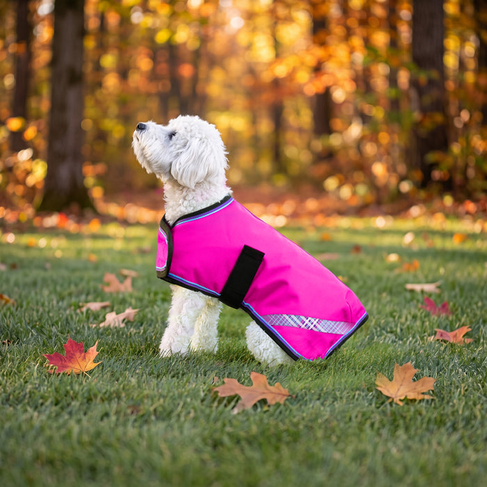New Winter Dog Coat - 180G Medium Weight - Waterproof & Breathable — EB-Electric Berry — main image — 2SCR-MD-EB