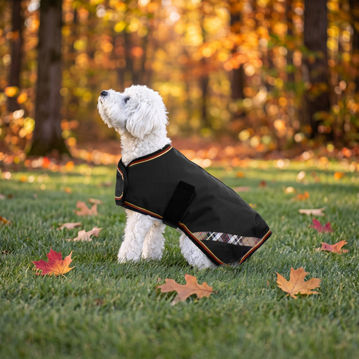 New Winter Dog Coat - 180G Medium Weight - Waterproof & Breathable — F-Black — main image — 2SCR-MD-F