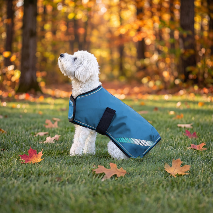 New Winter Dog Coat - 180G Medium Weight - Waterproof & Breathable — H-Harbor — main image — 2SCR-MD-H